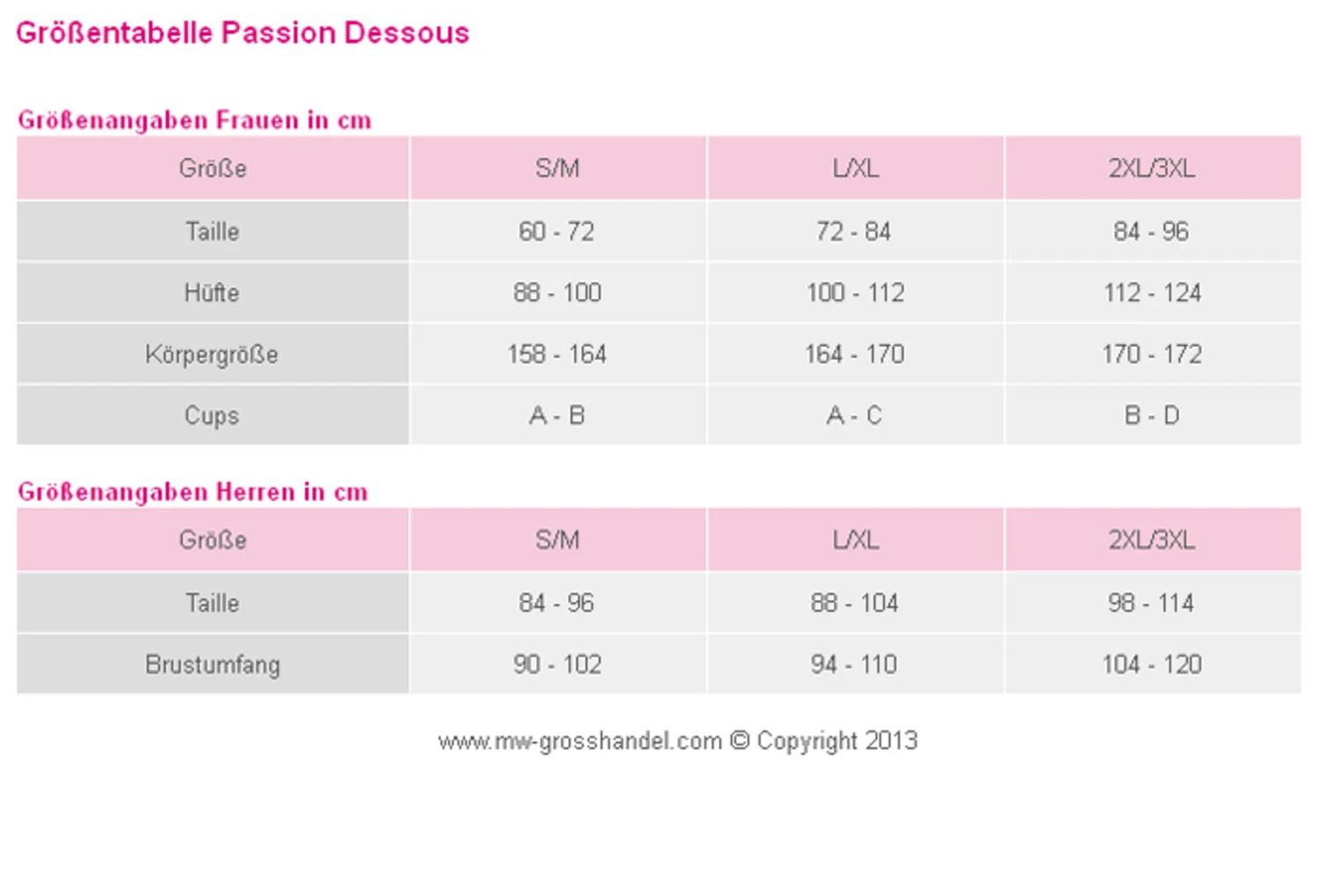 Sexy Wetlook Gorset von Passion Dessous