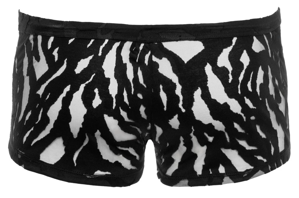 Betonende Pants in Ausbrenner-Optik schwarz transparent elastisch weich anschmiegsam stylisch mit hohem Tragekomfort von Svenjoyment