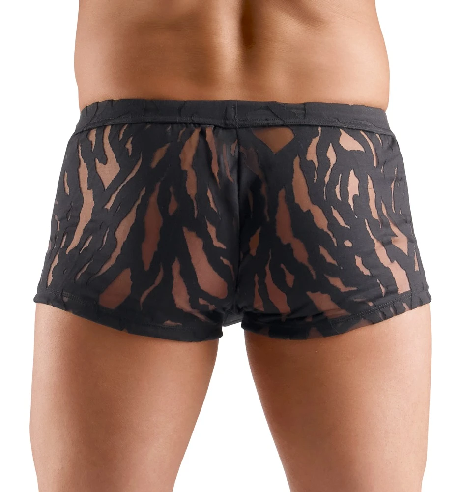 Betonende Pants in Ausbrenner-Optik schwarz transparent elastisch weich anschmiegsam stylisch mit hohem Tragekomfort von Svenjoyment