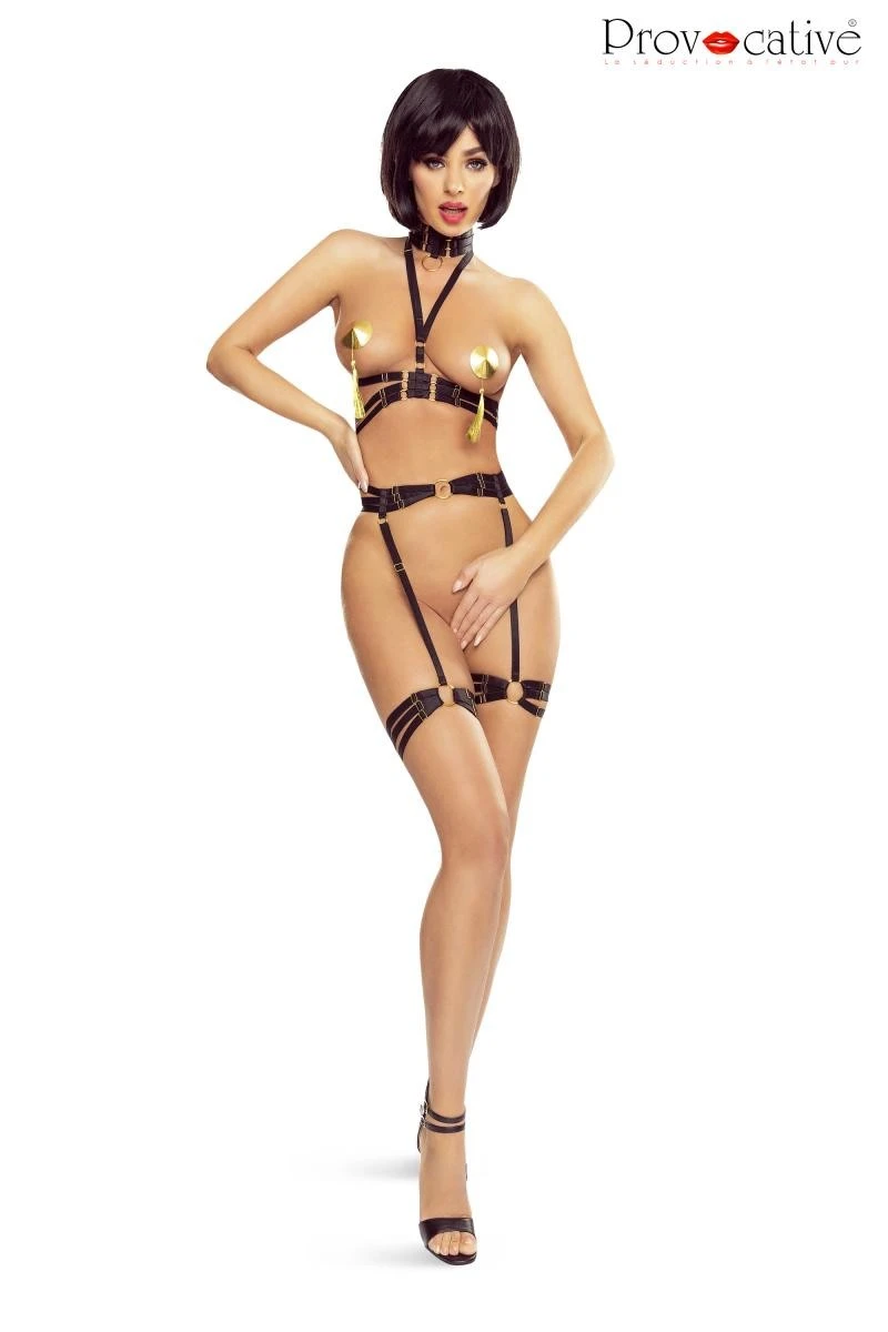 Harness Top PR1630 von Provocative