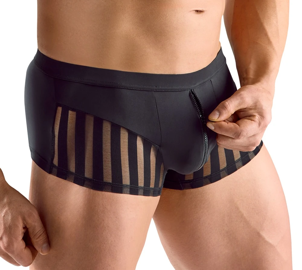 Herren Pants, Elegante Pants aus weicher Mikrofaser mit transparenten Streifen und diskretem Reißverschluss für optimalen Tragekomfort Herren Pants, Elegante Pants aus weicher Mikrofaser mit transparenten Streifen und diskretem Reißverschluss für optimalen Tragekomfort