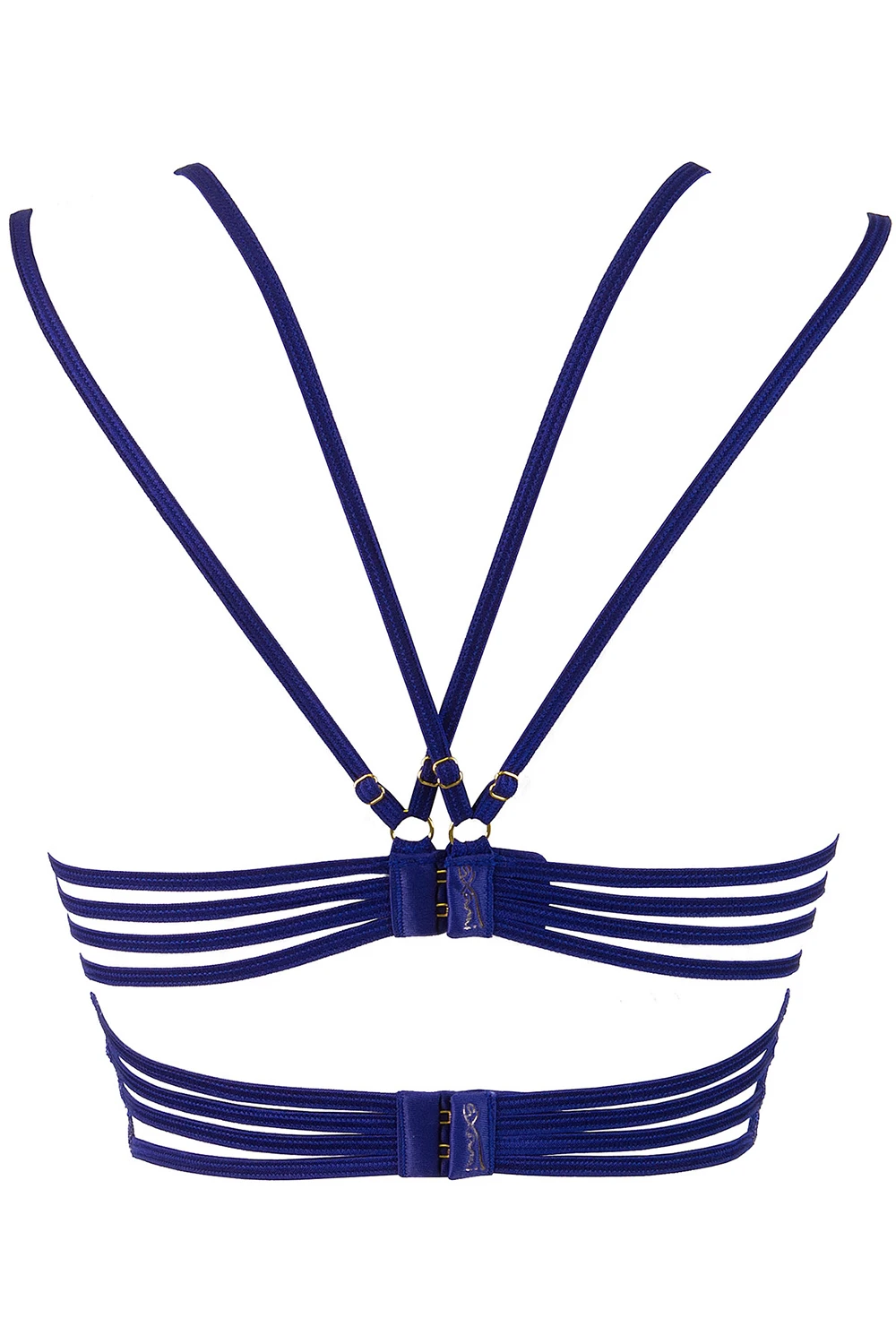 Axami sexy Bustier BH aus blauer Blütenspitze mit verstellbaren Trägern Axami sexy Bustier BH aus blauer Blütenspitze mit verstellbaren Trägern