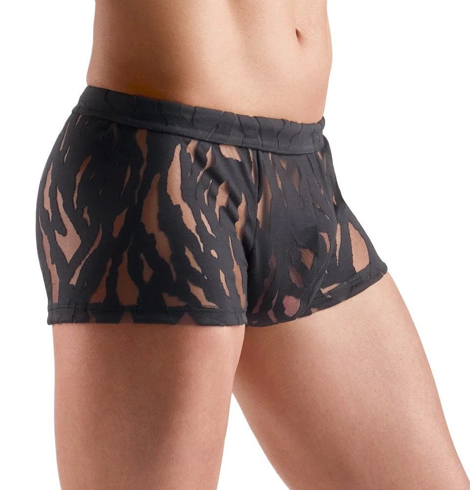 Betonende Pants in Ausbrenner-Optik schwarz transparent elastisch weich anschmiegsam stylisch mit hohem Tragekomfort von Svenjoyment