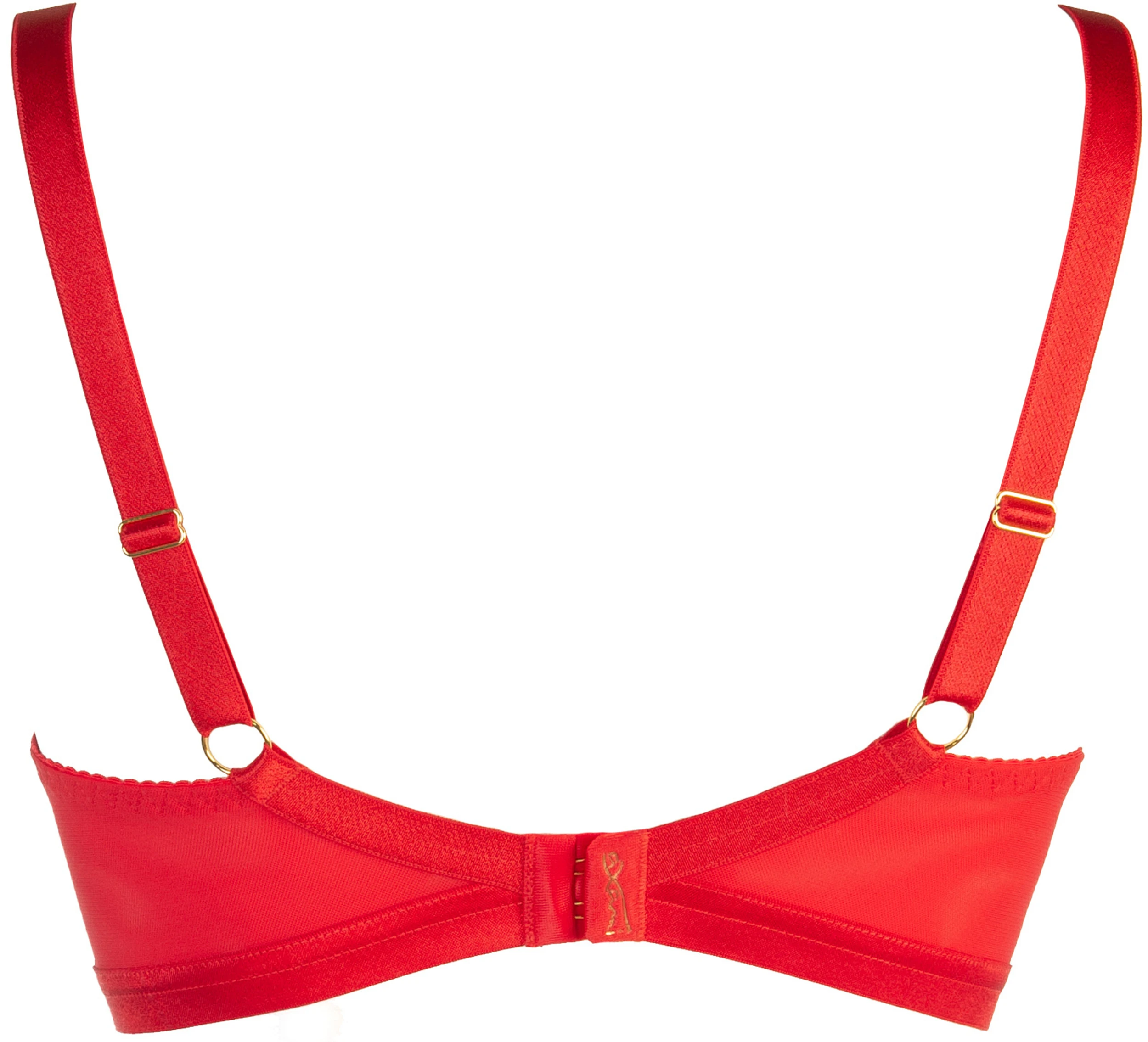 Axami Lingerie Bügel BH mit filigraner Spitze mit Blumenmotiv, transparentem Tüll Axami Lingerie Bügel BH mit filigraner Spitze mit Blumenmotiv, transparentem Tüll