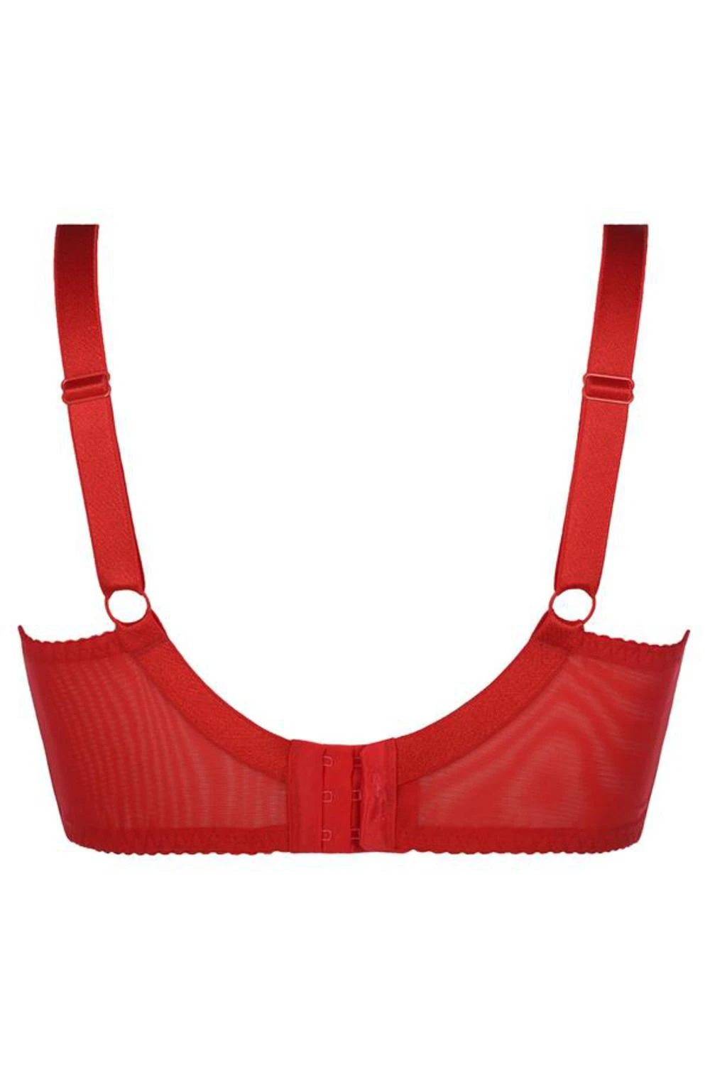 Axami zweifarbiger Plus-Size Neckholder-Bügel-Hebe BH