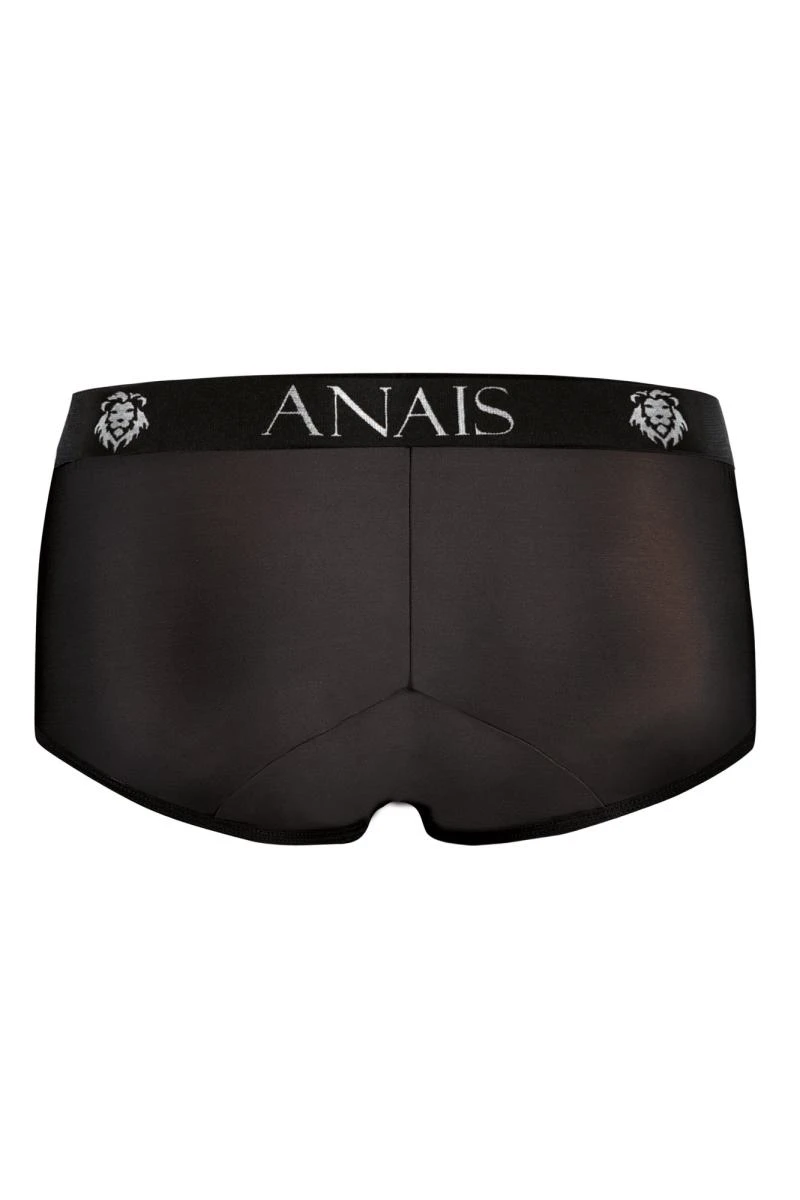 Herren Brief Shorts glänzend und blickdicht  von Anais for Men